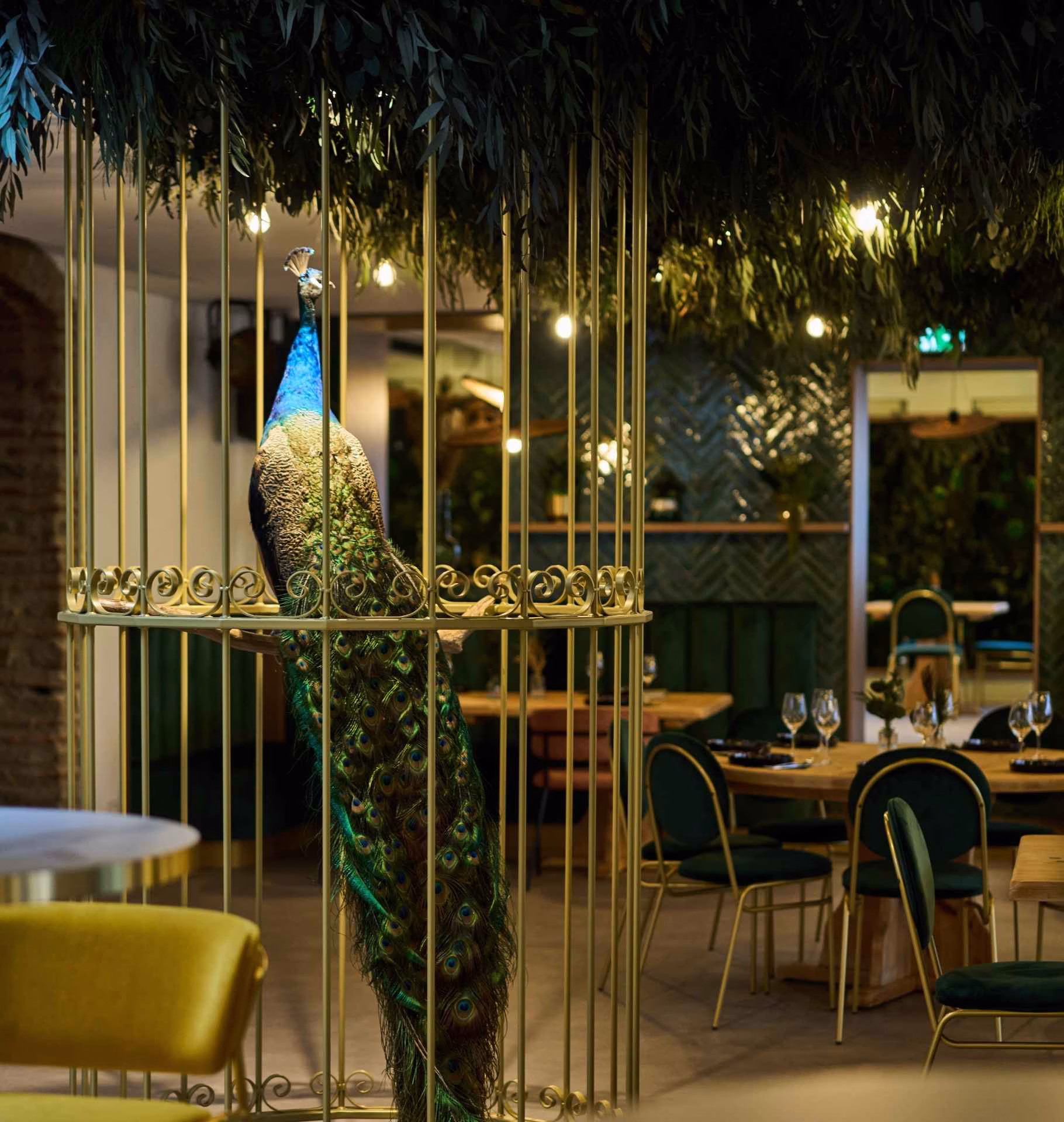 Bar et restaurant Maison Paon