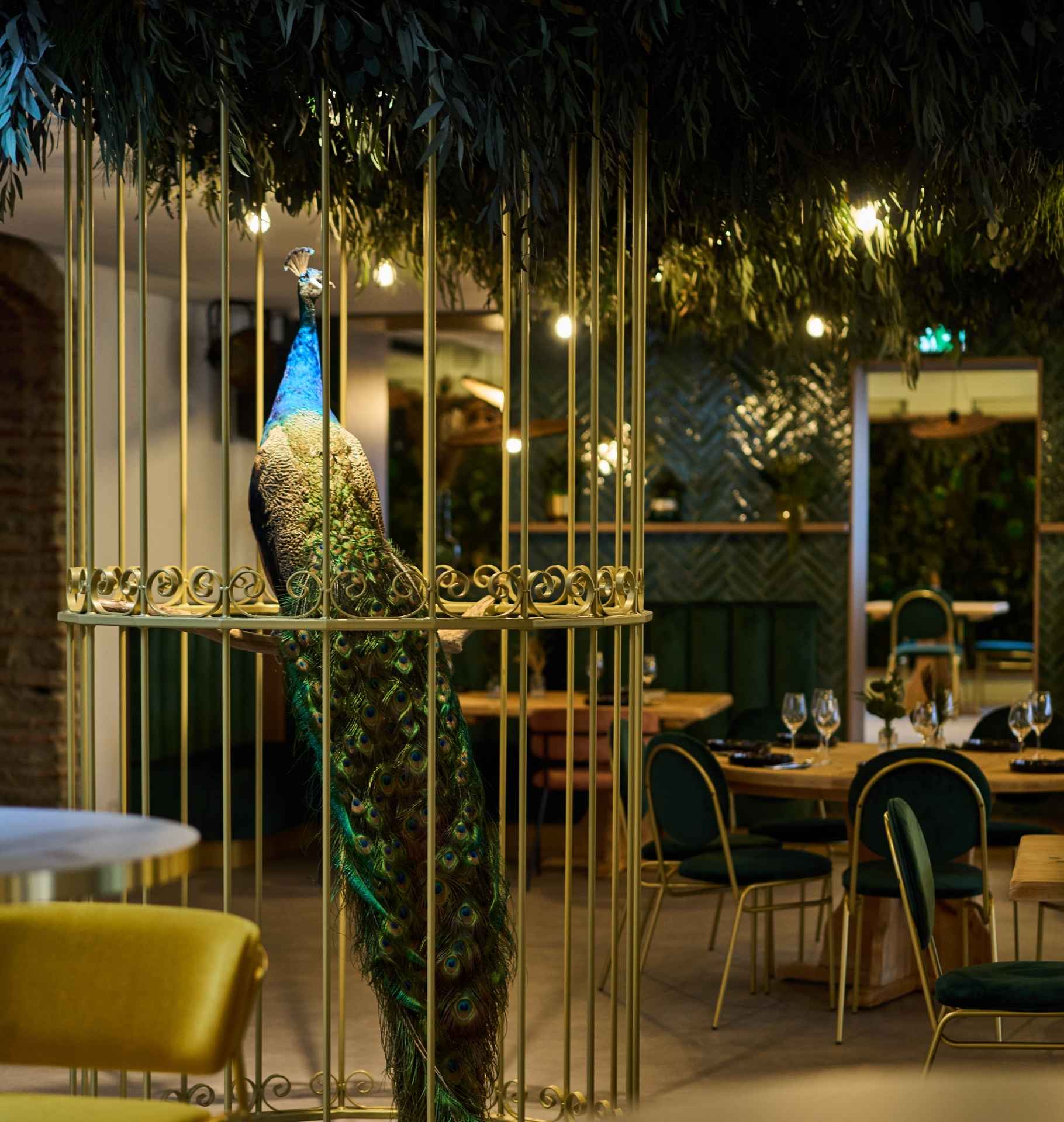Bar et restaurant Maison Paon